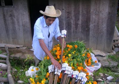 Flor de cempoalxochitl para Preparar el Altar y Cohetes para las Fiestas de Xantolo